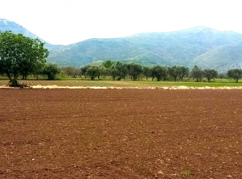 Terreno agricolo Mondragone - foto 3