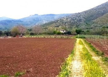 Agricultural land Mondragone - photo 1