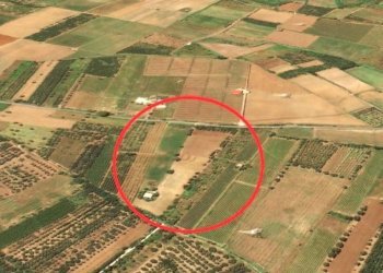 Agricultural land Mondragone - photo 7