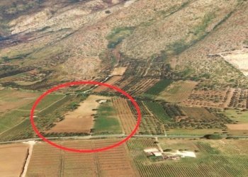 Agricultural land Mondragone - photo 8