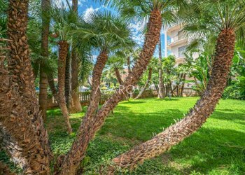 Villa Taggia - foto 42