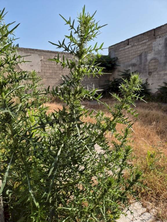 Terreno - Capannone via Romani, Sant'Anastasia - foto 1