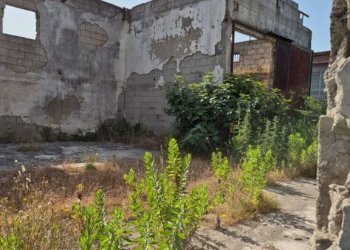 Terreno - Capannone via Romani, Sant'Anastasia - foto 4