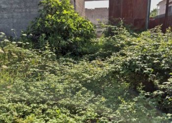 Terreno - Capannone via Romani, Sant'Anastasia - foto 6