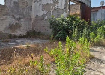 Terreno - Capannone via Romani, Sant'Anastasia - foto 7