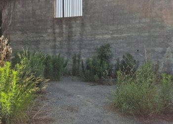 Terreno - Capannone via Romani, Sant'Anastasia - foto 8