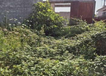 Terreno - Capannone via Romani, Sant'Anastasia - foto 9