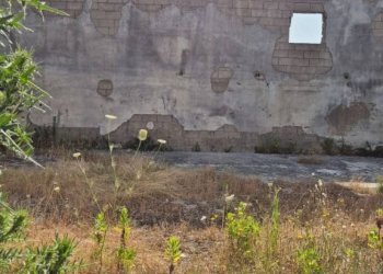 Terreno - Capannone via Romani, Sant'Anastasia - foto 10