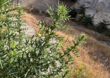 Terreno - Capannone via Romani, Sant'Anastasia - foto 12