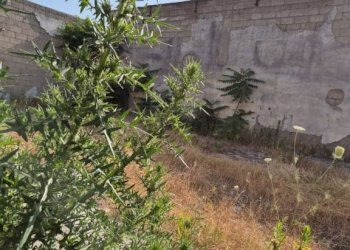 Terreno - Capannone via Romani, Sant'Anastasia - foto 13