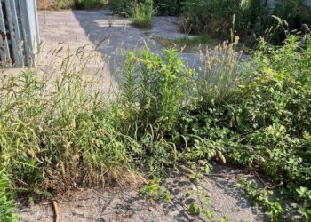 Terreno - Capannone via Romani, Sant'Anastasia - foto 14