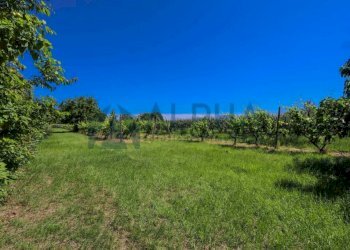 Terreno - Villa via Faberio, Savignano sul Rubicone - foto 3