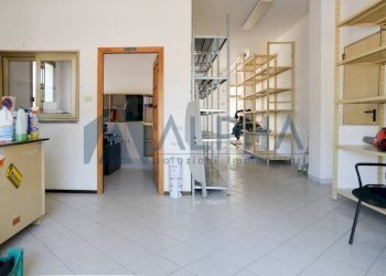 Interno non residenziale - Negozio via Roma, Savignano sul Rubicone - foto 3