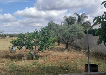 Villa Via Padula, Sogliano Cavour - foto 5