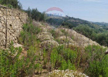 Terreno edificabile strada bragheira
Sanremo, IM, Sanremo - foto 3