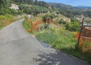 Terreno edificabile strada bragheira
Sanremo, IM, Sanremo - foto 5