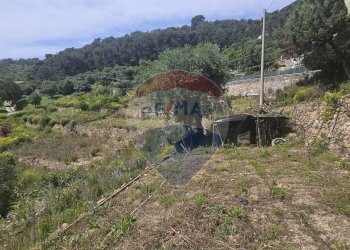 Terreno edificabile strada bragheira
Sanremo, IM, Sanremo - foto 6