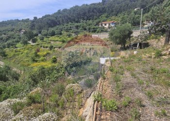 Terreno edificabile strada bragheira
Sanremo, IM, Sanremo - foto 7