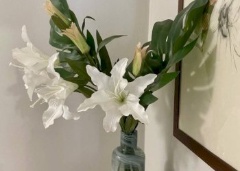 Appartamento Via Giovanni Amendola, 15, Bologna (zona Centro Storico) - foto 41