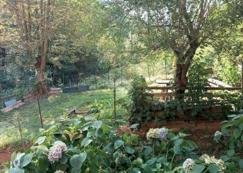 Casa semi indipendente Frazione molino, Camandona - foto 33
