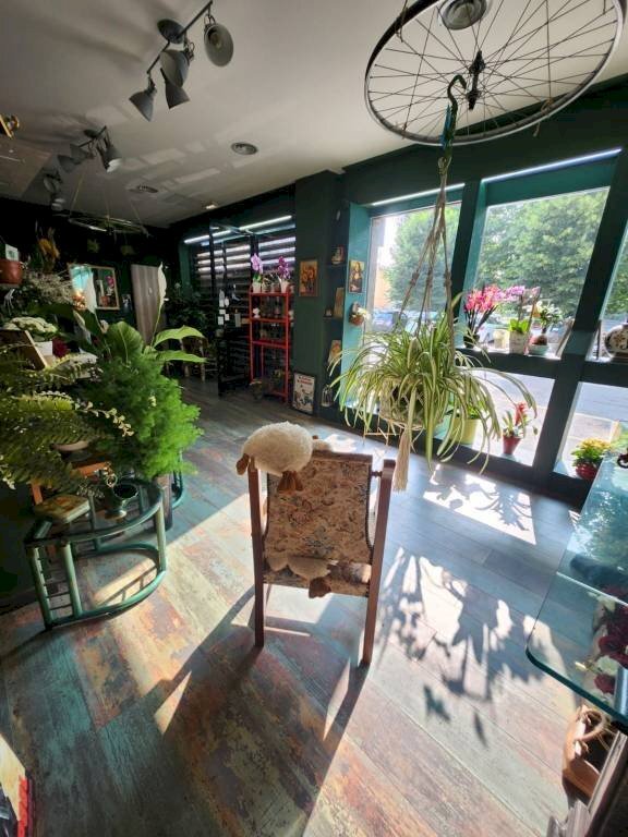 Negozio Moncalieri - foto 1