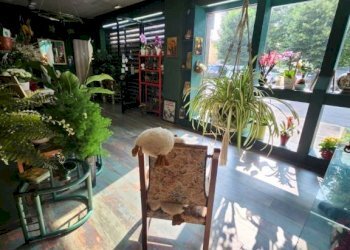 Negozio Moncalieri - foto 1