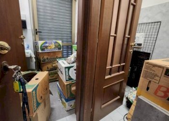 Negozio Moncalieri - foto 2