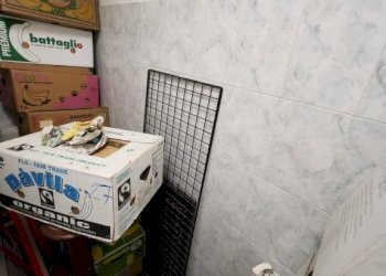 Negozio Moncalieri - foto 3