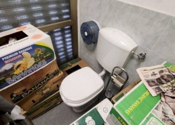 Negozio Moncalieri - foto 4