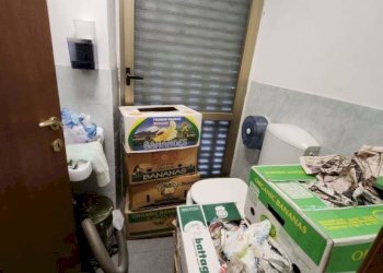 Negozio Moncalieri - foto 5