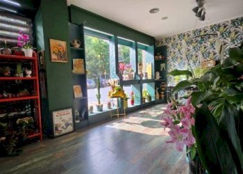 Negozio Moncalieri - foto 9