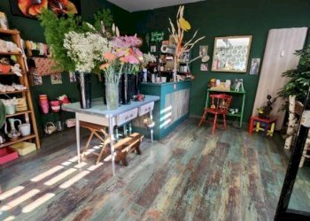 Negozio Moncalieri - foto 10