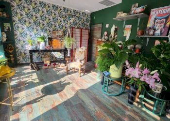 Negozio Moncalieri - foto 11