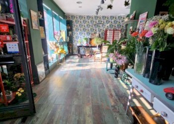 Negozio Moncalieri - foto 12