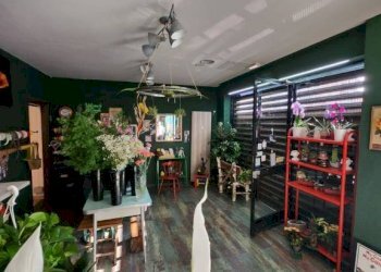 Negozio Moncalieri - foto 13