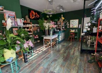 Negozio Moncalieri - foto 14