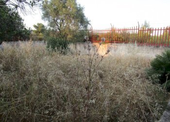 Terreno - Three-room apartment Statte - photo 24