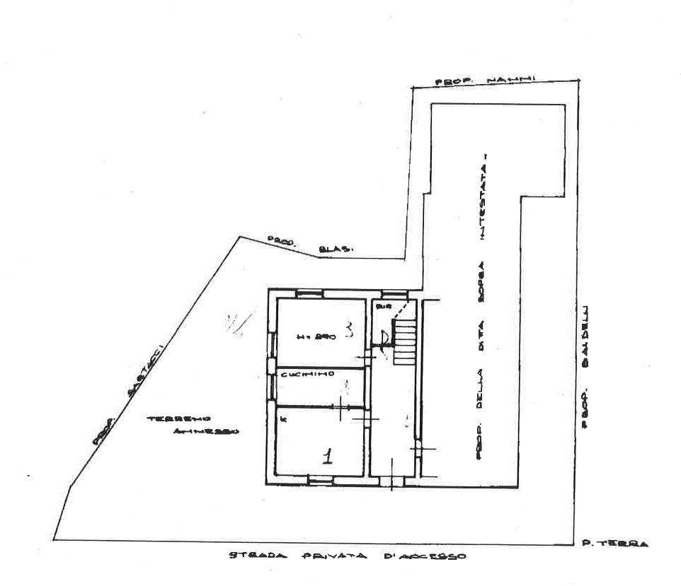 Villa viale Dante, 14, Pergola - floor plans 1