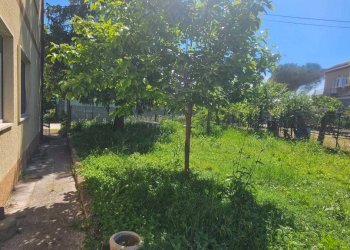 Giardino - Villa viale Dante, 14, Pergola - foto 42