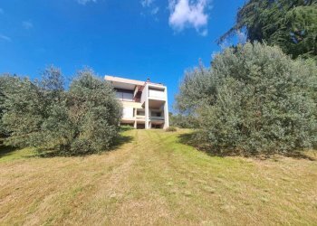 Terreno - Villa via Giuseppe Garibaldi, Signa - foto 2