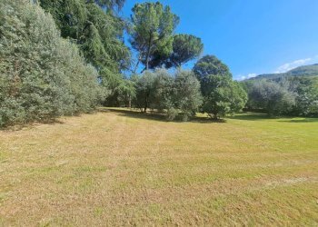 Terreno - Villa via Giuseppe Garibaldi, Signa - foto 8