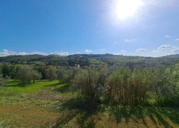 Terreno - Villa via Giuseppe Garibaldi, Signa - foto 12