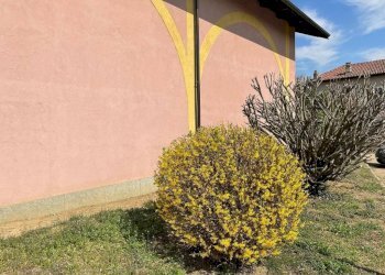 Giardino - Villa a Schiera Borgata Dojrone, 9, Rivalta di Torino - foto 9