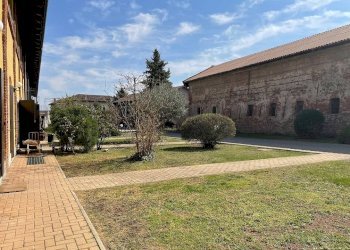 Giardino - Villa a Schiera Borgata Dojrone, 9, Rivalta di Torino - foto 13