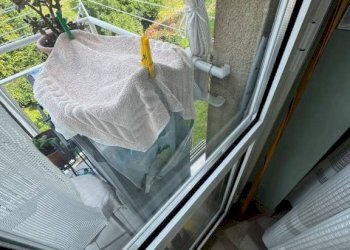 Dettagli - Appartamento strada Ciapeia, 7, Biella - foto 26