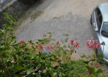 Historic Residence Murazzano - photo 5