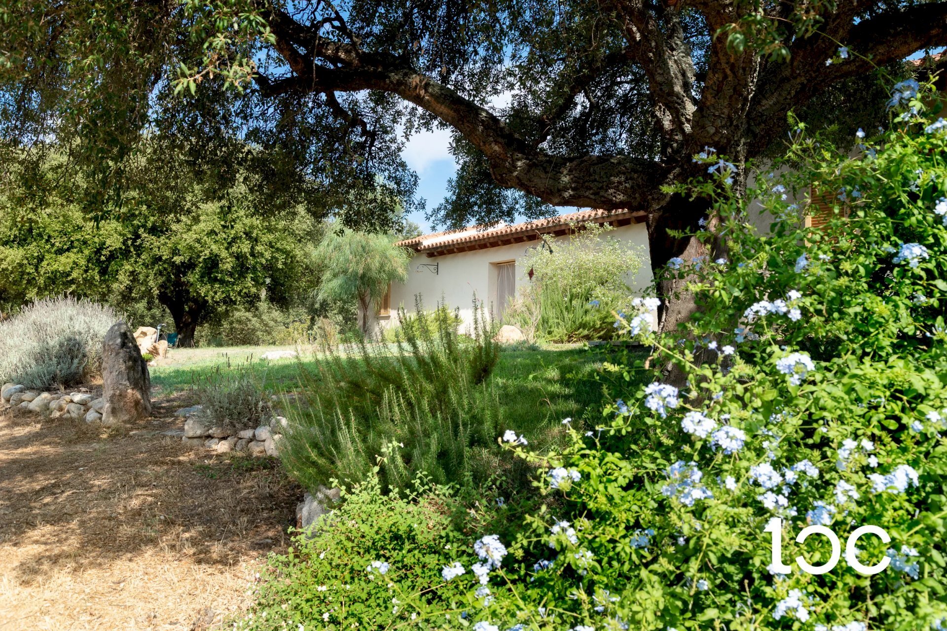 Villa Padru - foto 1