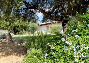 Villa Padru - foto 1