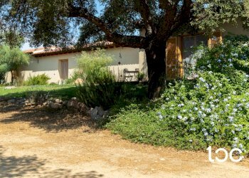 Villa Padru - foto 3