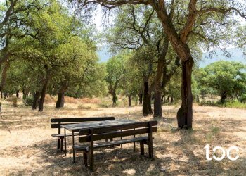 Villa Padru - foto 4